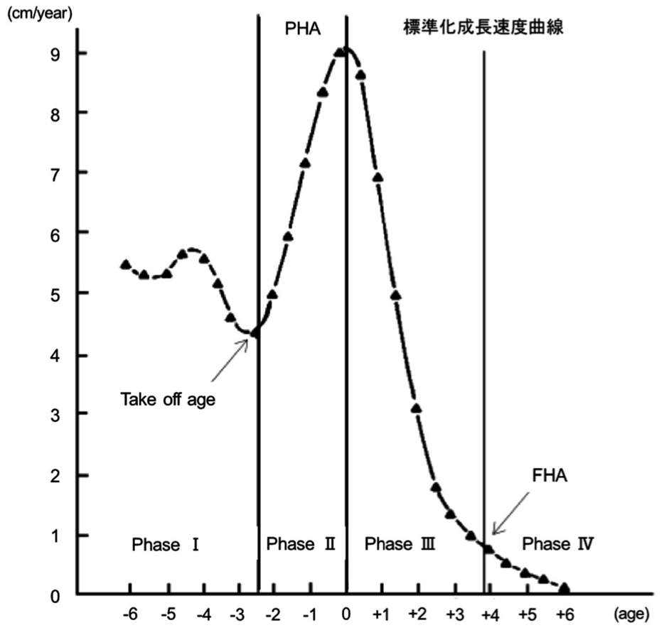 図1：身長成長速度曲線の成長区分　（村田, 1996）